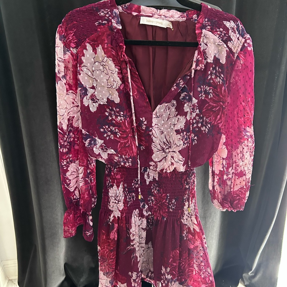Bishop + Young Burgundy and Pink Dress